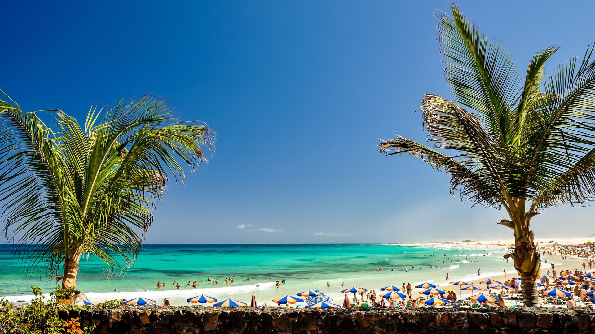 Die schönsten Urlaubsorte auf Fuerteventura: Dein Guide für den perfekten Urlaub