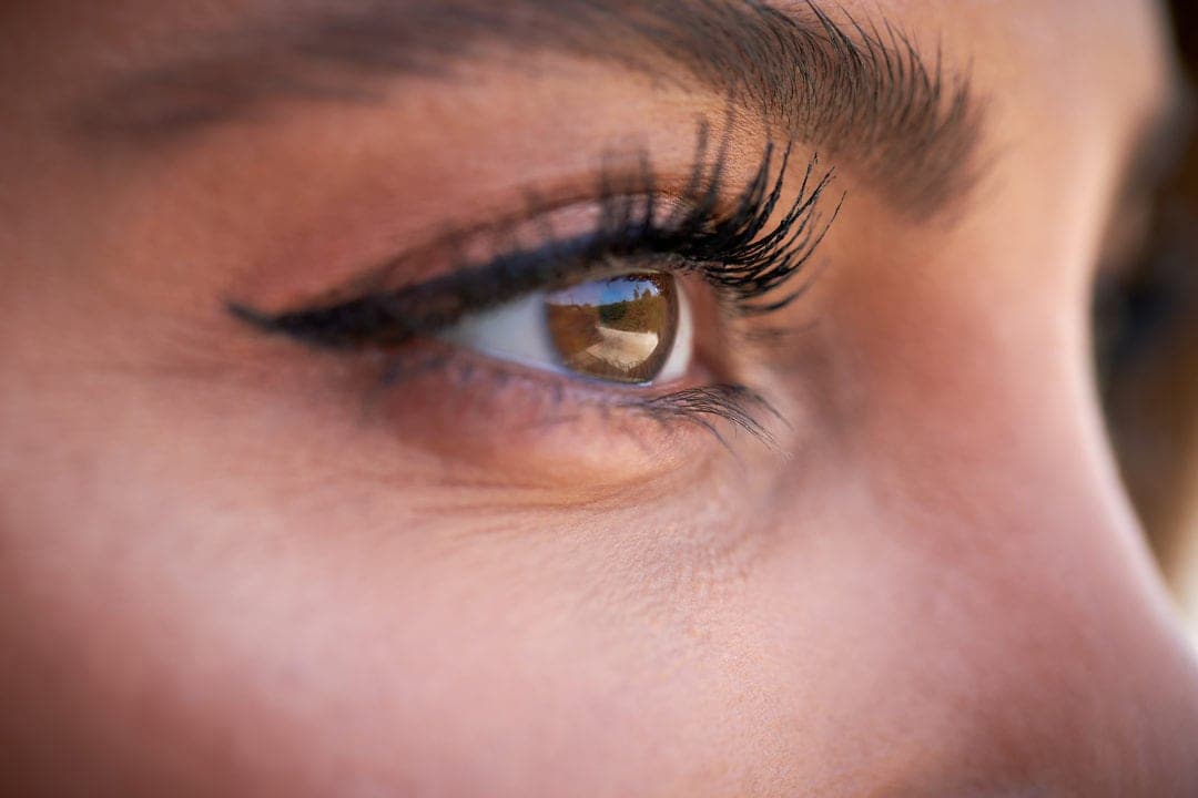 Maximale Haltbarkeit mit Elan Lamination – Wimpernverlängerung auf höchstem Niveau