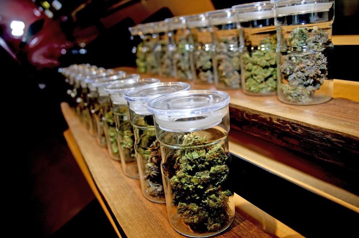 Cannabis in Barcelona: Was Touristen wissen sollten