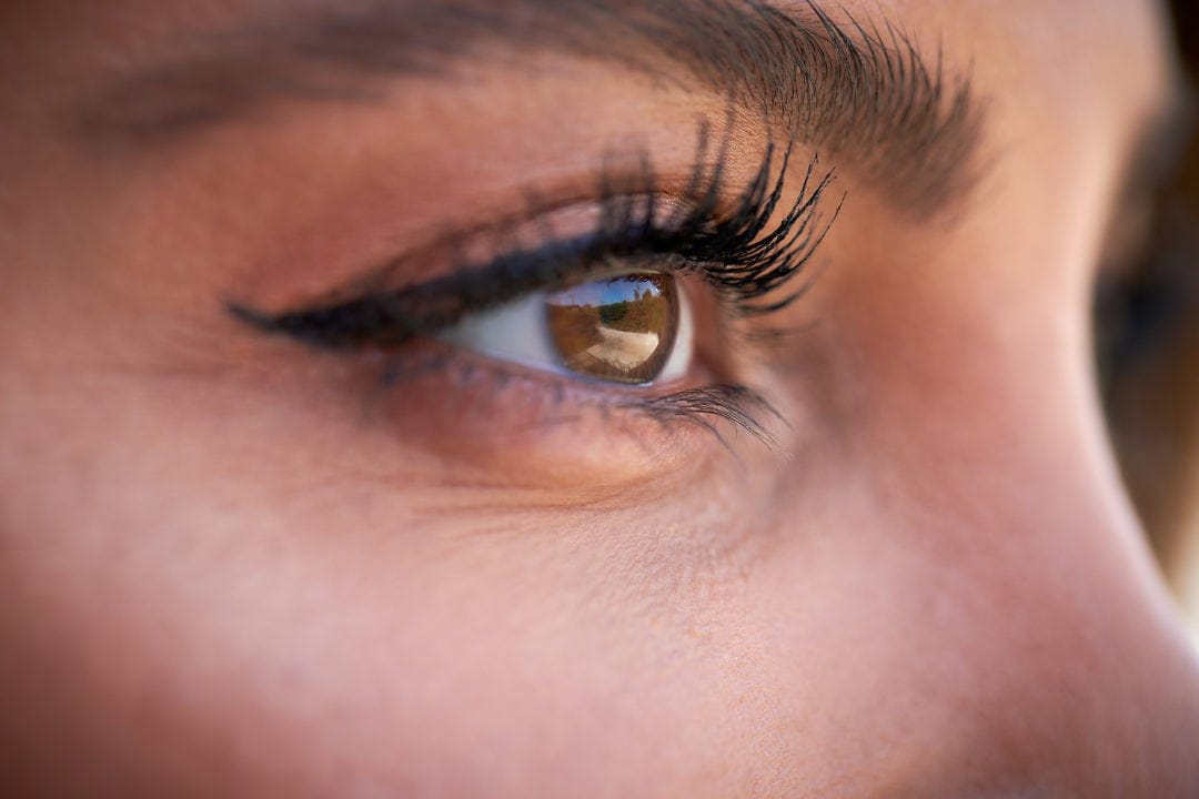 Maximale Haltbarkeit mit Elan Lamination – Wimpernverlängerung auf höchstem Niveau